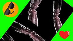 Phallic Phrenzy2 Thumb