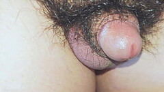 试着在公交车露出 Thumb