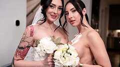 The Unplanned Honeymoon - Charlotte Sins, Melissa Stratton Thumb