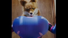 Boobs Slapping with sound effect Thumb