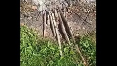 sperm in an extinct fire Thumb