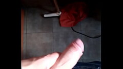 Cordob&eacute_s dotado Thumb