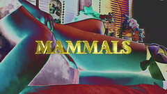 Mammals Thumb