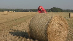 Bikini, hay rolls and field Thumb