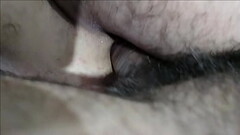 El culo preferido Thumb